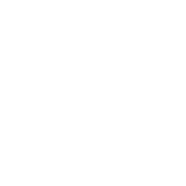 Support Icon